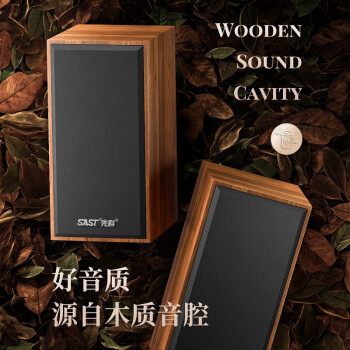 先科（SAST）音响电视组合机  S-10  电脑音响台式2.0声道桌面木质蓝牙迷你笔记本重低音喇叭外放 